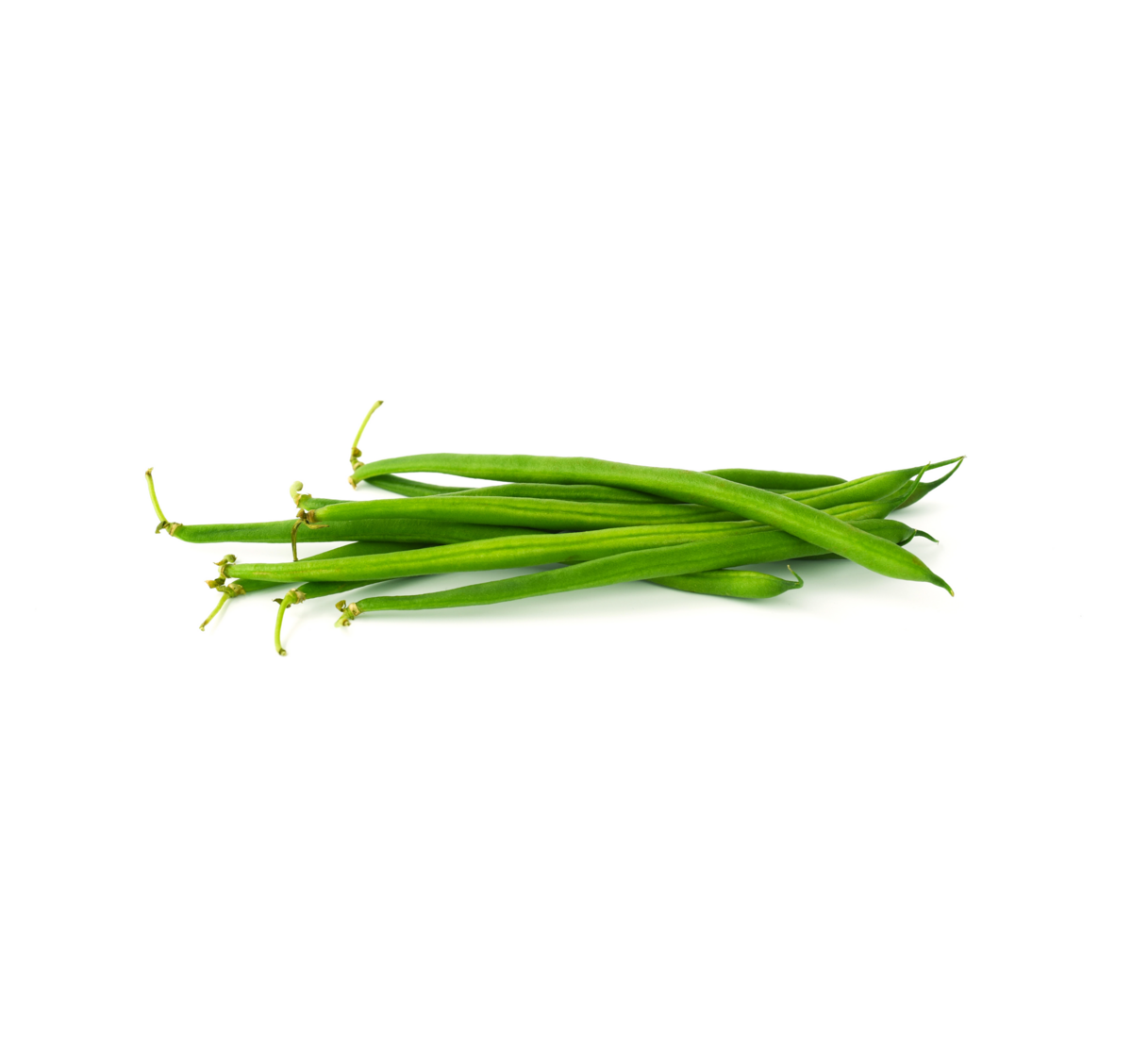 [Translate to French:] Haricots verts: Fijne bonen teelt