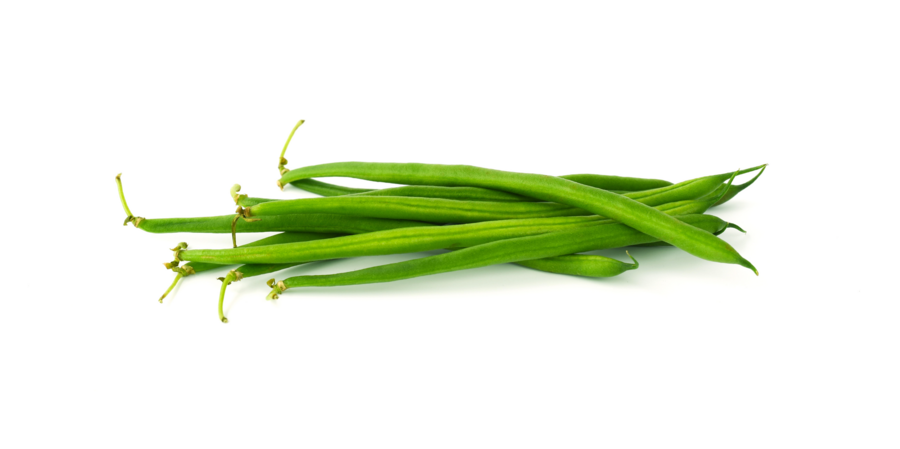 [Translate to French:] Haricots verts: Fijne bonen teelt