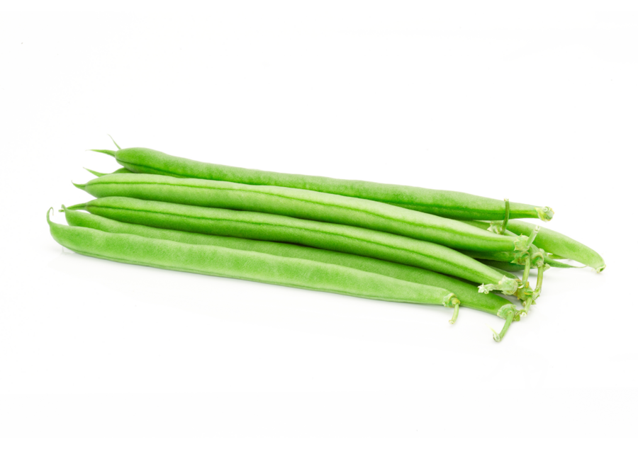 Green beans cultivation for the best quality green beans