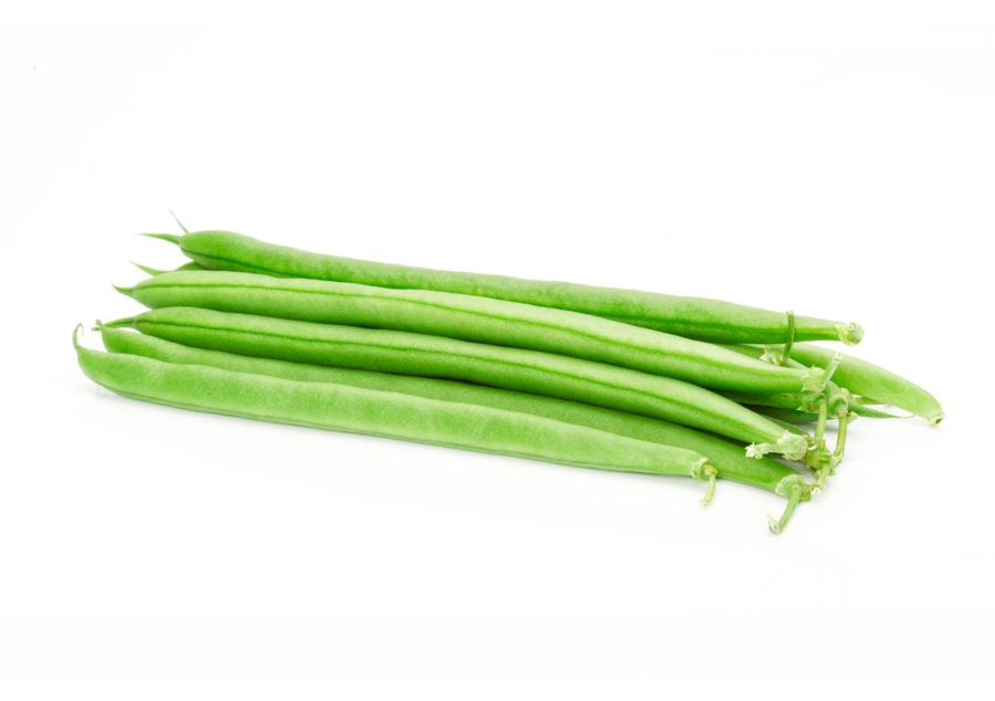 Culture des haricots verts pour les meilleurs haricots verts