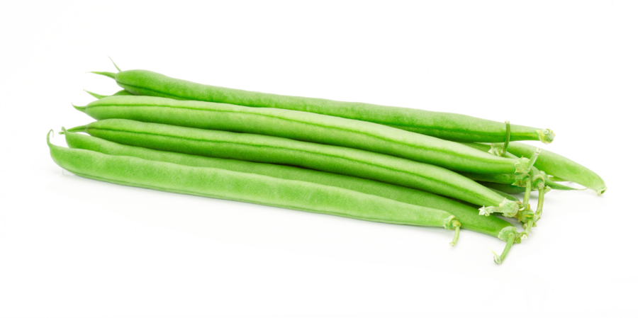 Green beans cultivation for the best quality green beans