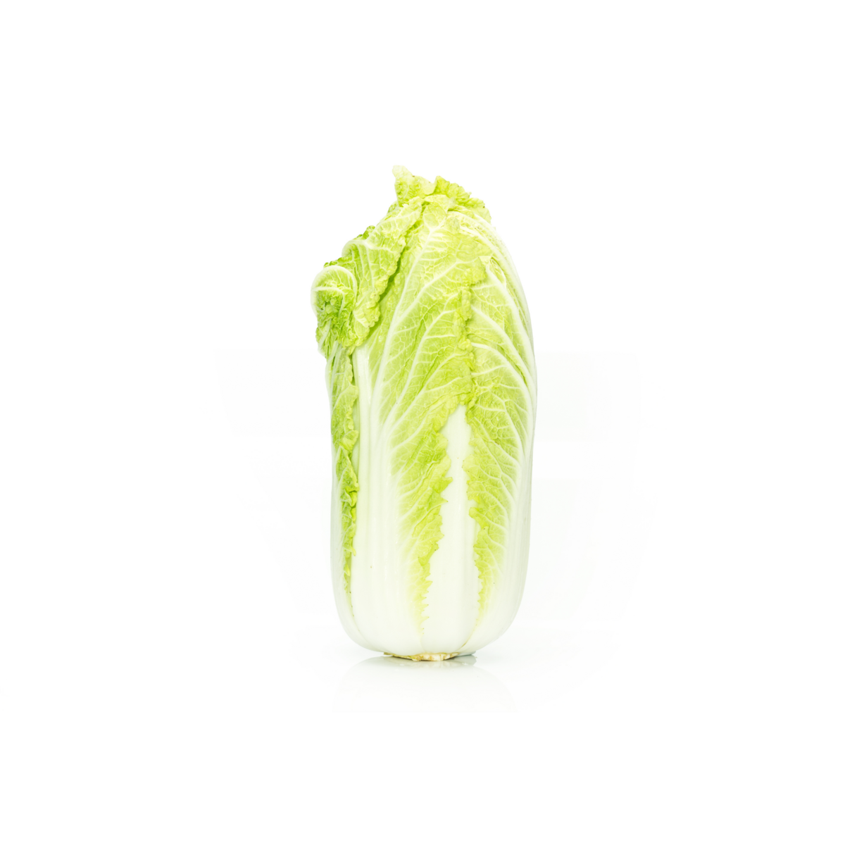 Chinese cabbage cultivation for the best quality Chinese cabbage Chinese cabbage cultivation for the best quality Chinese cabbage