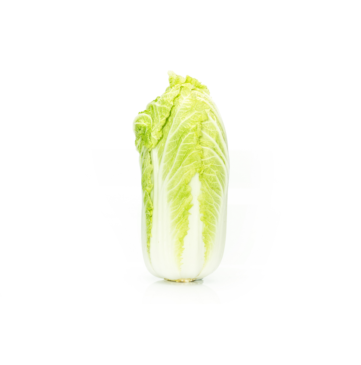 Chinese cabbage cultivation for the best quality Chinese cabbage