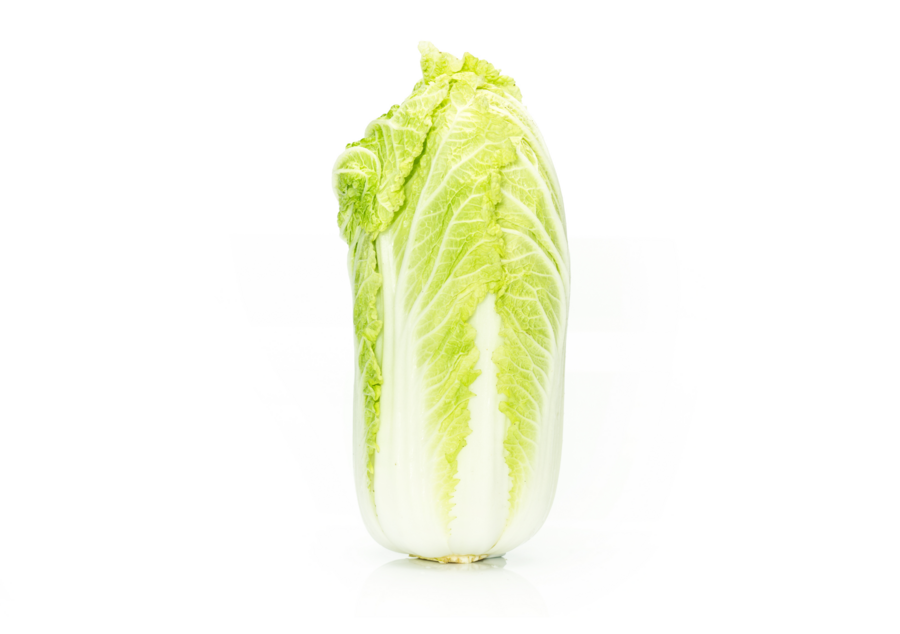 Chinese cabbage cultivation for the best quality Chinese cabbage
