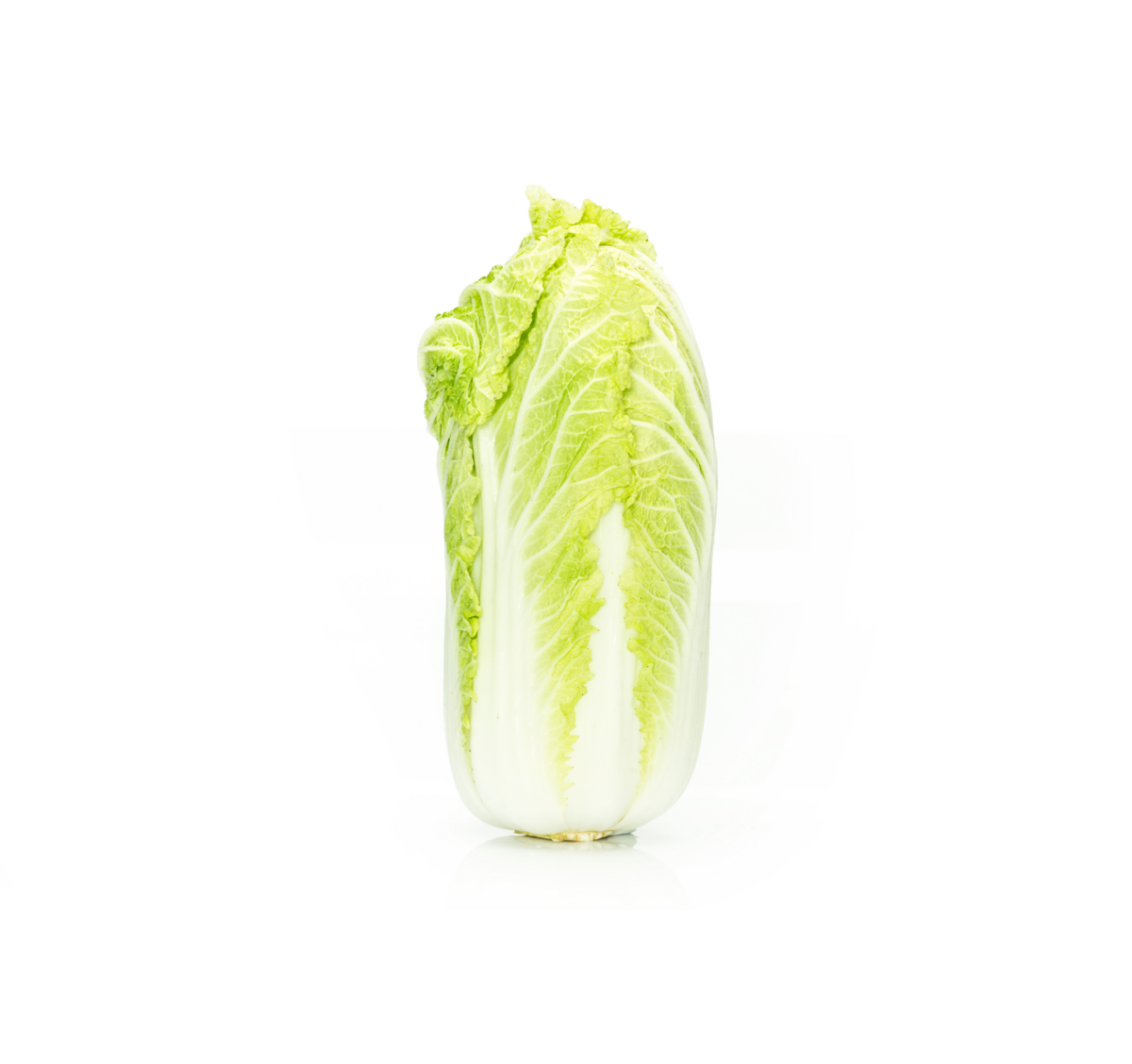 Chinese cabbage cultivation for the best quality Chinese cabbage