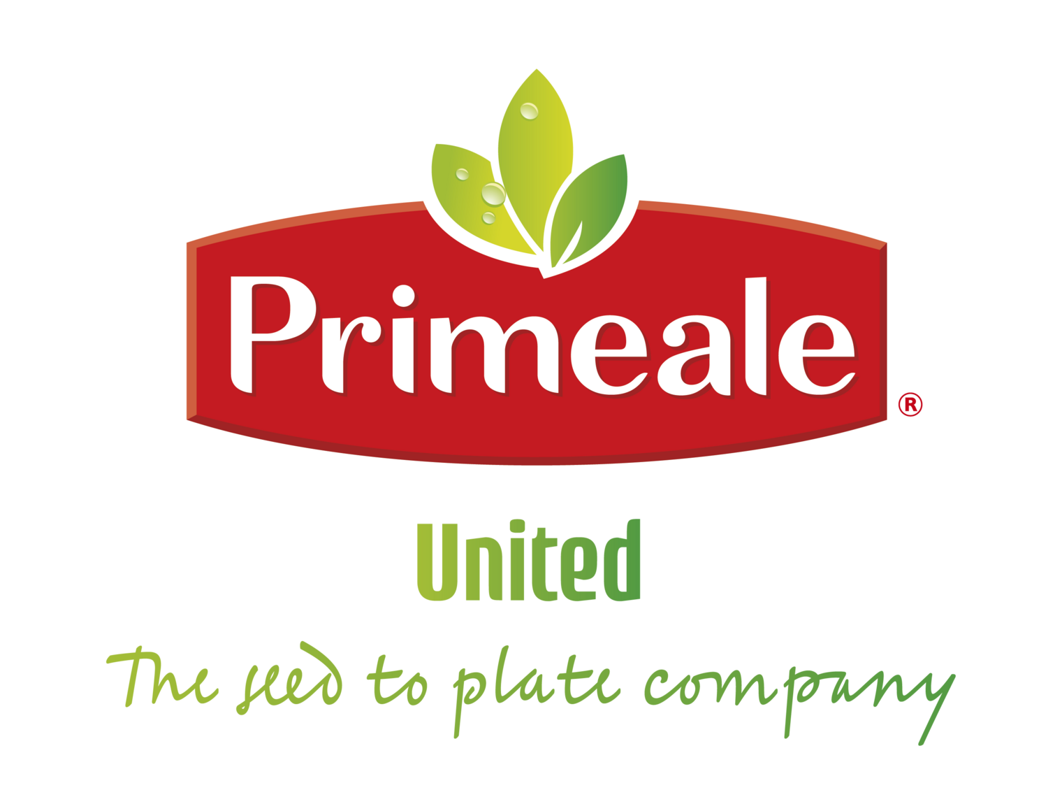 Primeale United