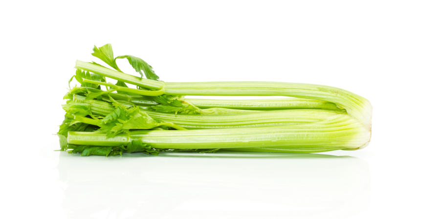 Celery cultivation for the best quality celery
