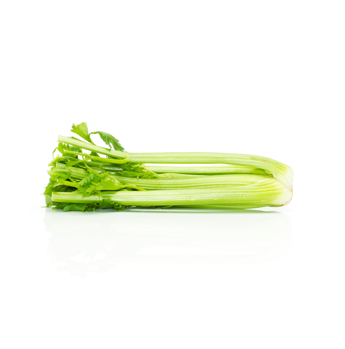 Celery cultivation for the best quality celery