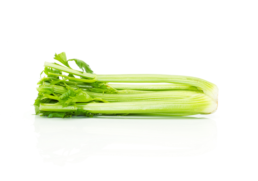 Celery cultivation for the best quality celery