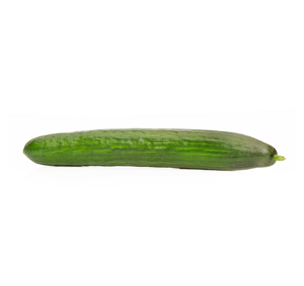Komkommer teelt voor de beste komkommers