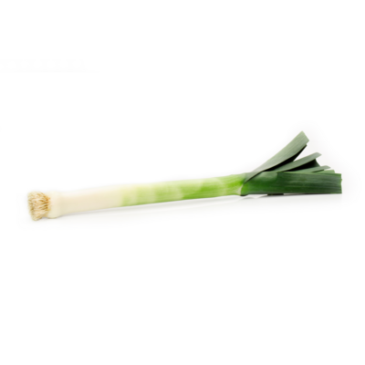 Leek