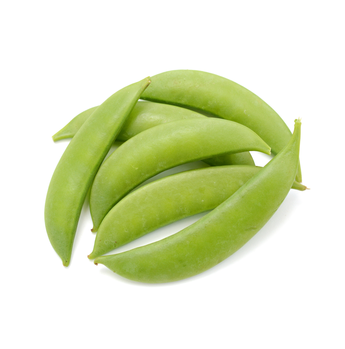 Sugar snaps teelt voor de beste sugar snaps Sugar snaps teelt voor de beste sugar snaps