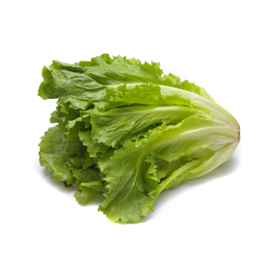 Endive